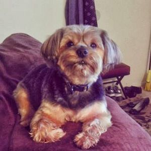 Meet your Posher, Maria